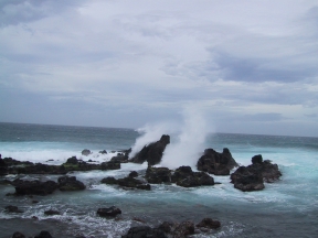 Honeymoon36.jpg (41895 bytes)