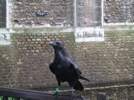 London14.jpg (27668 bytes)