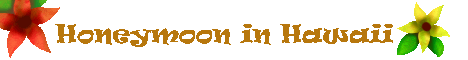 hawaii.gif (5331 bytes)